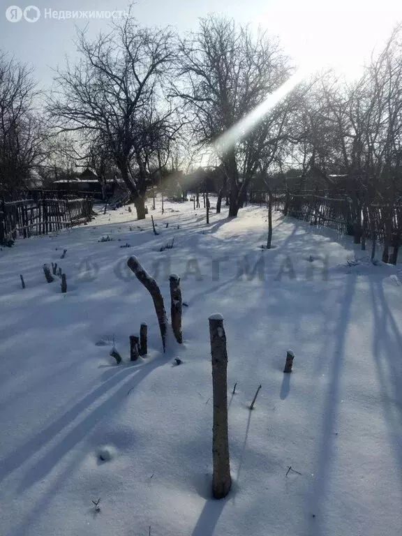 Участок в Саратовская область, Балаково (3 м) - Фото 0