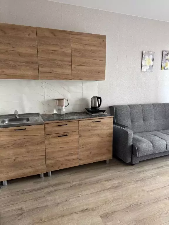 Студия Москва Рязанский просп., 2/2к2 (20.3 м) - Фото 1