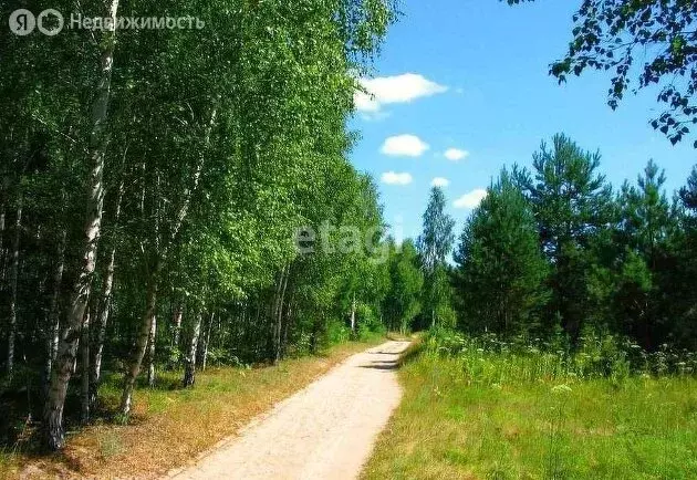Участок в Кузнецкий район, СНТ Пригородное (4 м) - Фото 0