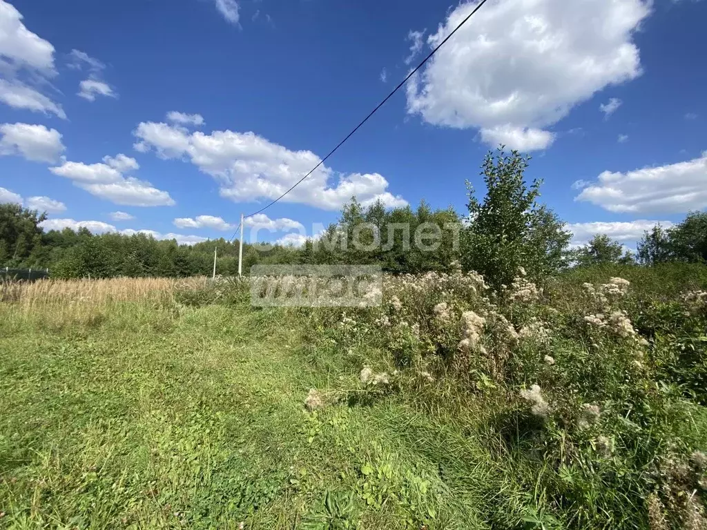 Участок в Владимирская область, Судогодский район, Головинское ... - Фото 0