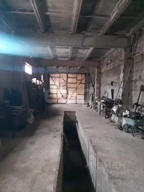 Склад в Алтайский край, Барнаул Интернациональная ул., 312 (1514 м) - Фото 2