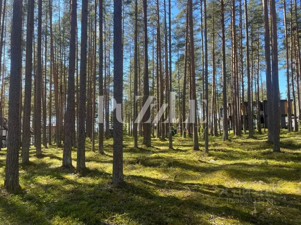 Участок в Ленинградская область, Выборгский район, Полянское с/пос, ... - Фото 0