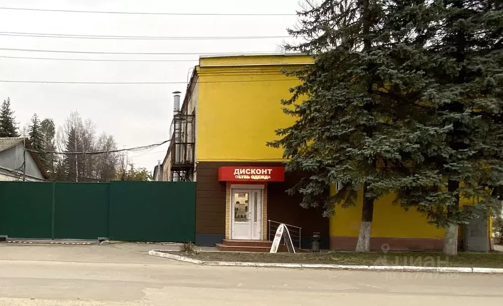 Помещение свободного назначения в Брянская область, Брянск ул. ... - Фото 1