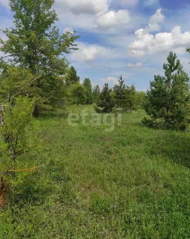 Участок в Воронежская область, Новоусманский район, с. Бабяково ул. ... - Фото 1