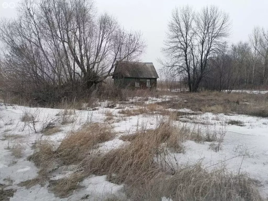 Участок в Новоусманский район, Орловское сельское поселение, село ... - Фото 2
