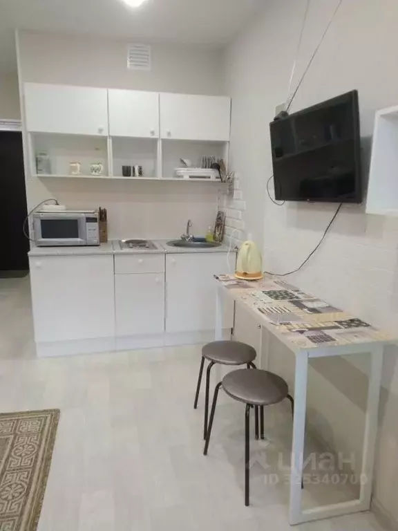 Студия Рязанская область, Рязанский муниципальный округ, с. Дядьково ... - Фото 1