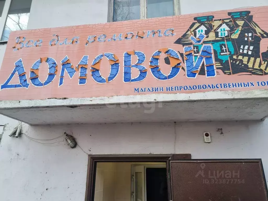 Помещение свободного назначения в Свердловская область, Кушва ул. ... - Фото 2