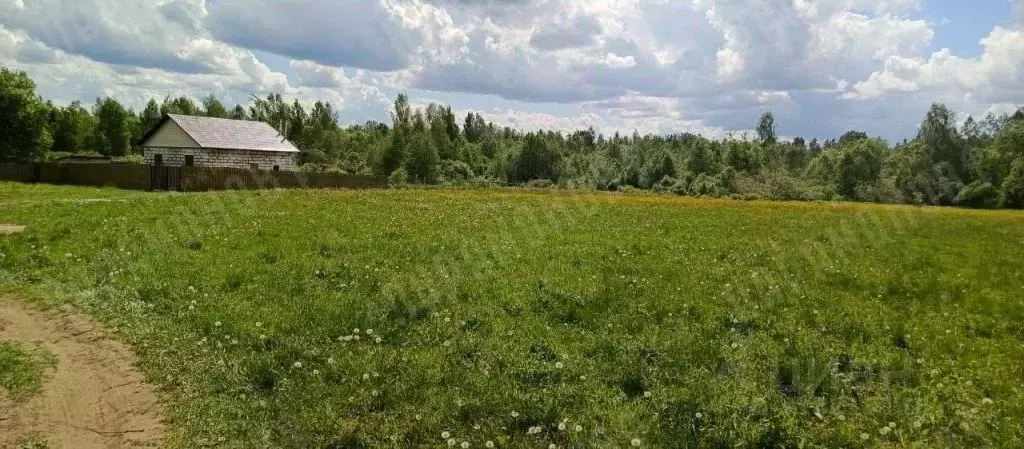 Участок в Тверская область, Калининский муниципальный округ, с. ... - Фото 1