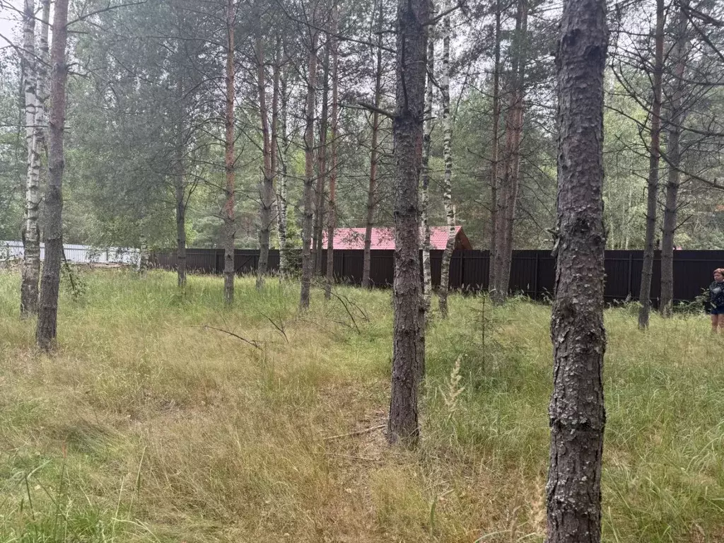 Участок в Владимирская область, Киржачский муниципальный округ, д. ... - Фото 2