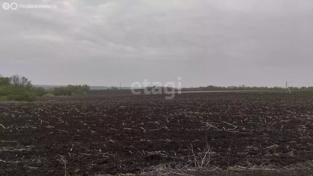 Участок в Белгородский район, Дубовское сельское поселение, посёлок ... - Фото 0