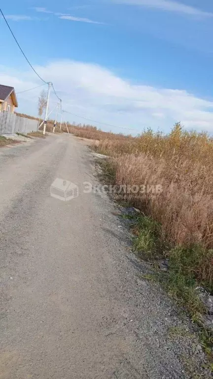 Участок в Тюменская область, Тюмень Садовое товарищество Липовый ... - Фото 1