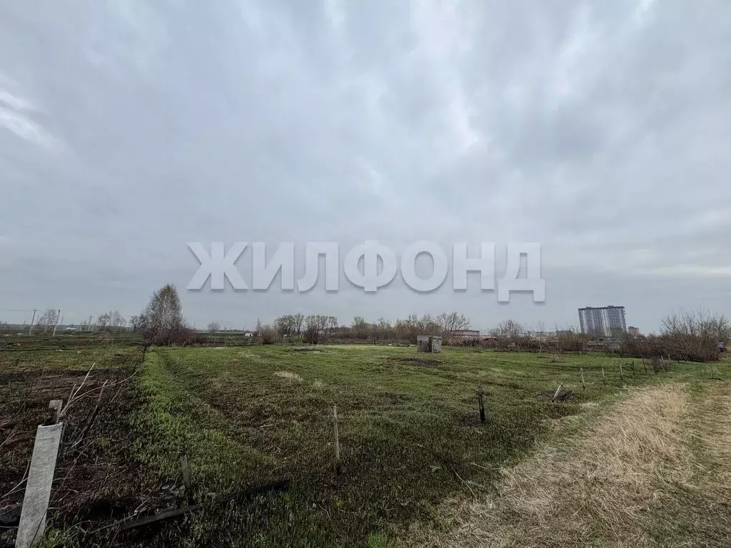 Участок в Новосибирская область, Новосибирский район, с. Криводановка ... - Фото 2