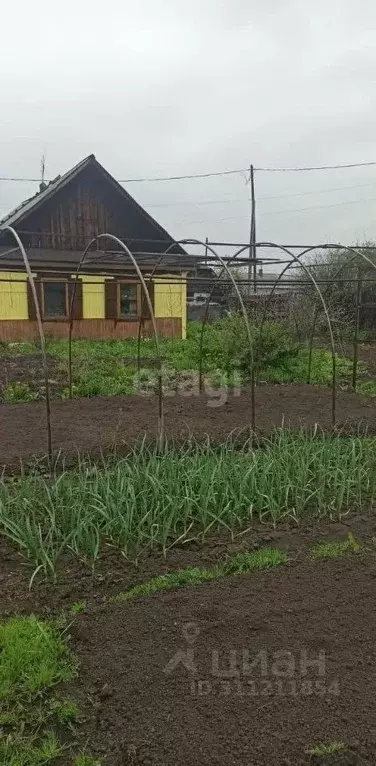 Дом в Кемеровская область, Прокопьевск Гомельский пер., 6 (51 м) - Фото 0