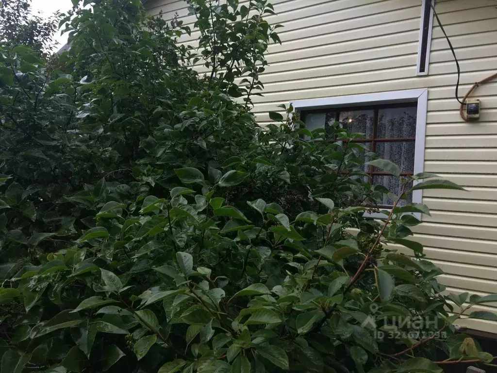 Участок в Ленинградская область, Гатчинский муниципальный округ, Ухта ... - Фото 1