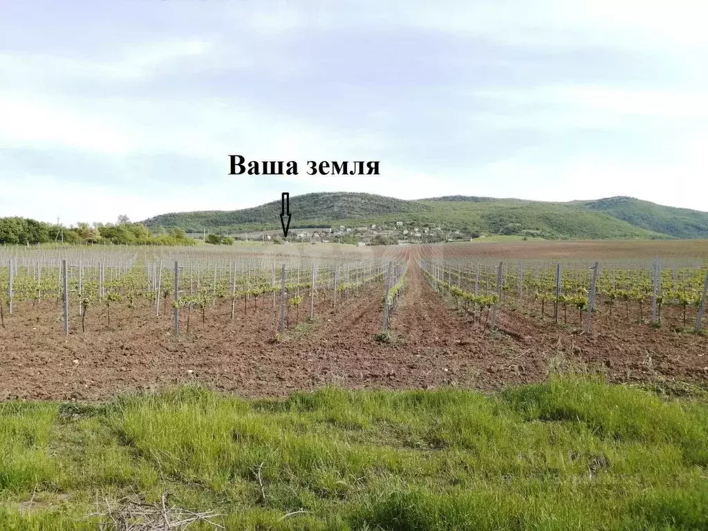 Участок в Севастополь Балаклавский муниципальный округ, с. Оборонное, ... - Фото 1