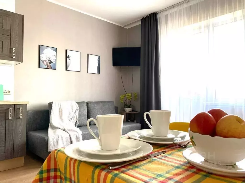 Студия Московская область, Ленинский городской округ, Мисайлово пгт ш. ... - Фото 1