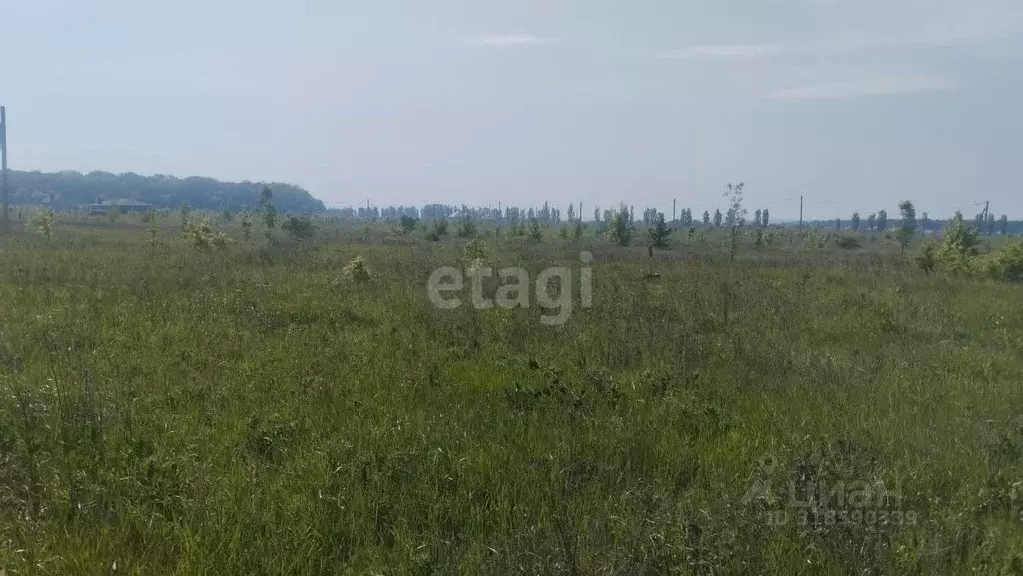 Участок в Белгородская область, Белгородский район, Ериковское с/пос, ... - Фото 0