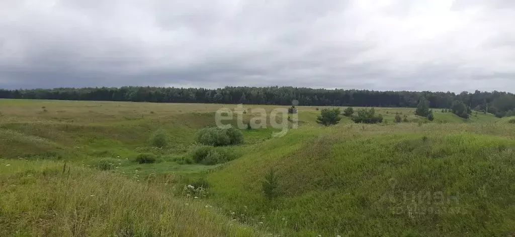 Участок в Татарстан, Рыбно-Слободский район, Биектауское сельcкое ... - Фото 0