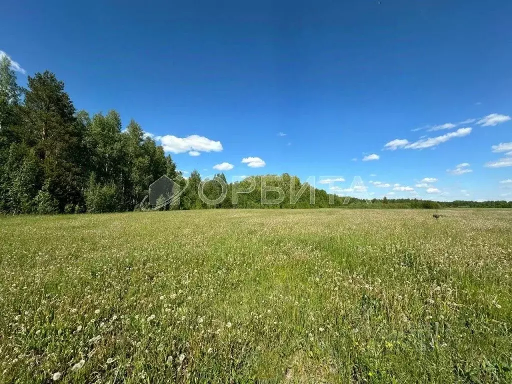 Участок в Тюменская область, Тюменский район, д. Елань 14 (6.0 сот.) - Фото 0