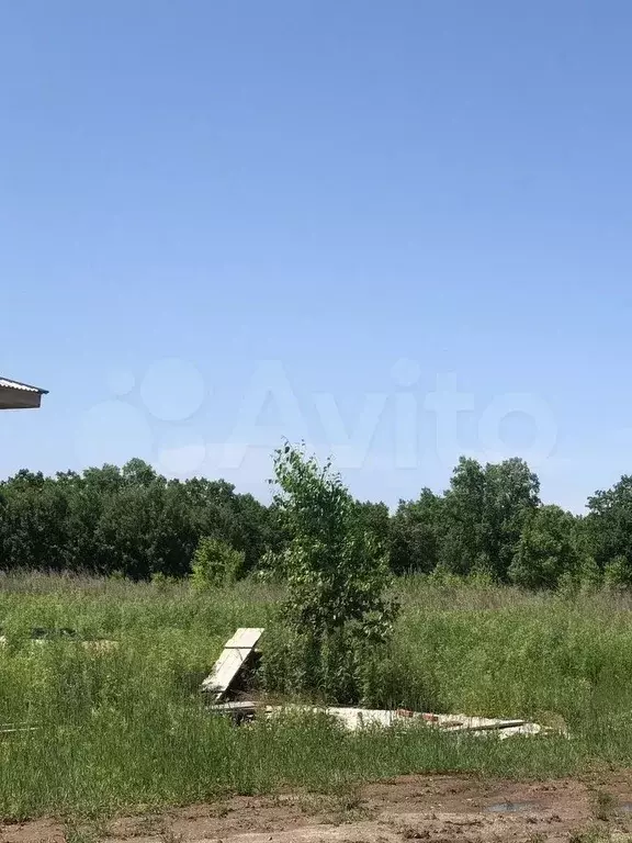 Участок 11,3 сот. (ИЖС) - Фото 0
