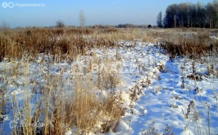 Участок в деревня Заболотье, Прудовая улица (11 м) - Фото 1