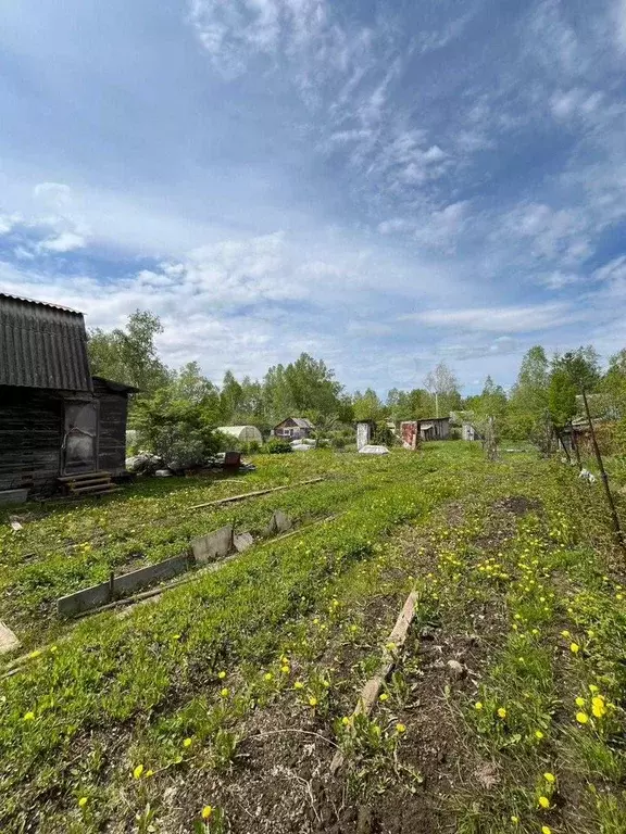 Дача 30 м на участке 6 сот. - Фото 1