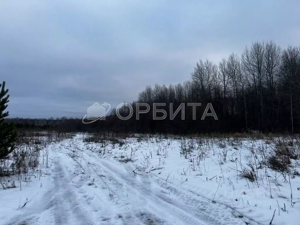 Участок в Тюменская область, Тюменский муниципальный округ, с. ... - Фото 2