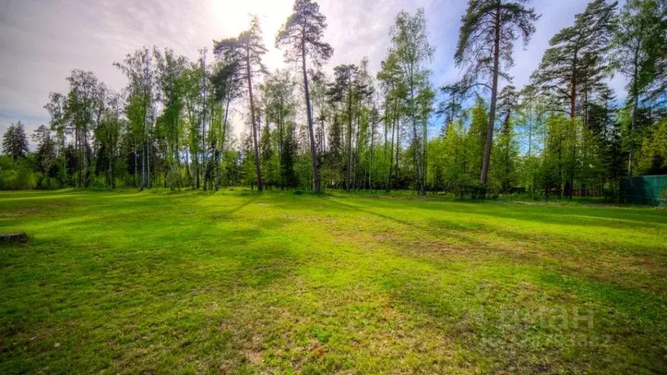Участок в Московская область, Одинцовский городской округ, д. Шульгино ... - Фото 0