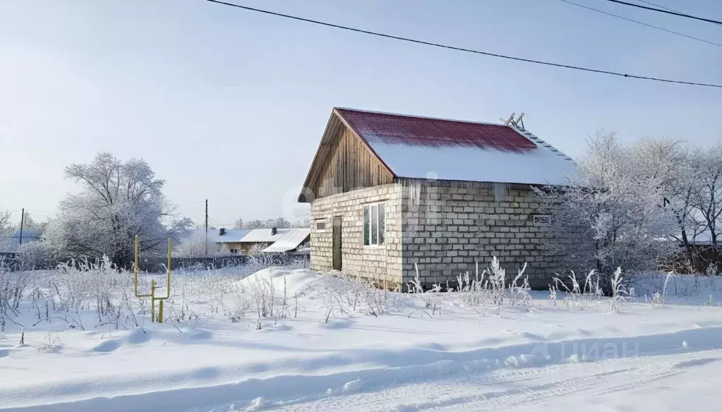 Дом в Сахалинская область, Анивский городской округ, с. Мицулевка ул. ... - Фото 1