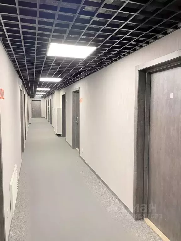 Студия Санкт-Петербург Детский пер., 2 (30.0 м) - Фото 0