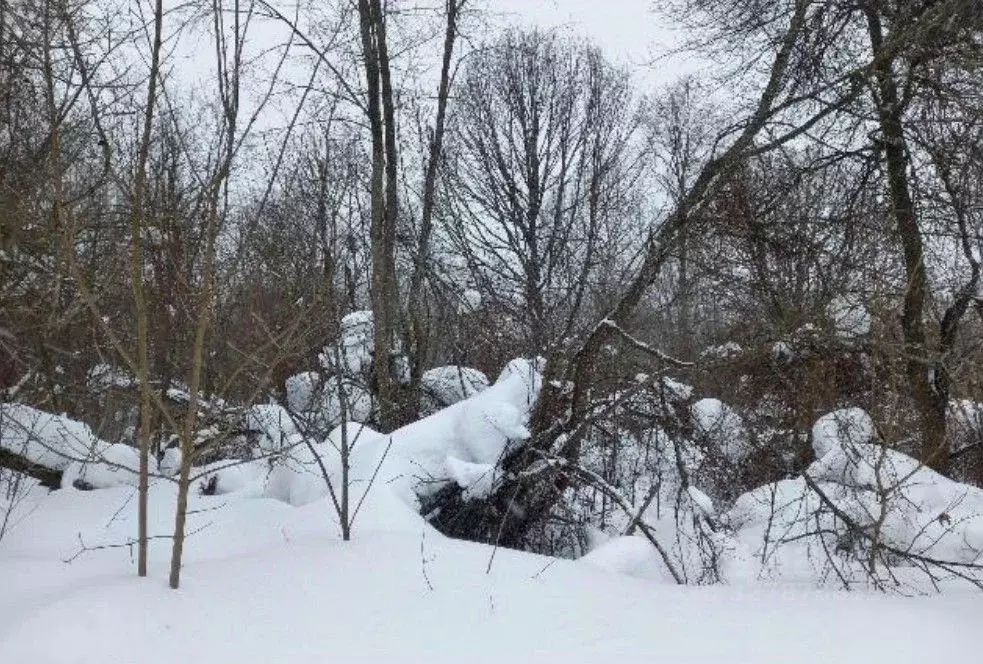 Участок в Московская область, Дмитровский муниципальный округ, д. ... - Фото 1