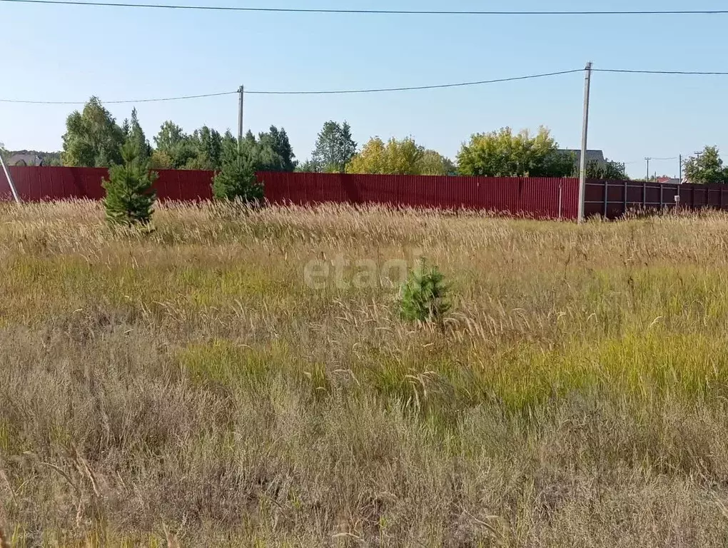 Участок в Татарстан, Лаишевский район, Нармонское с/пос, с. Тетеево  ... - Фото 1