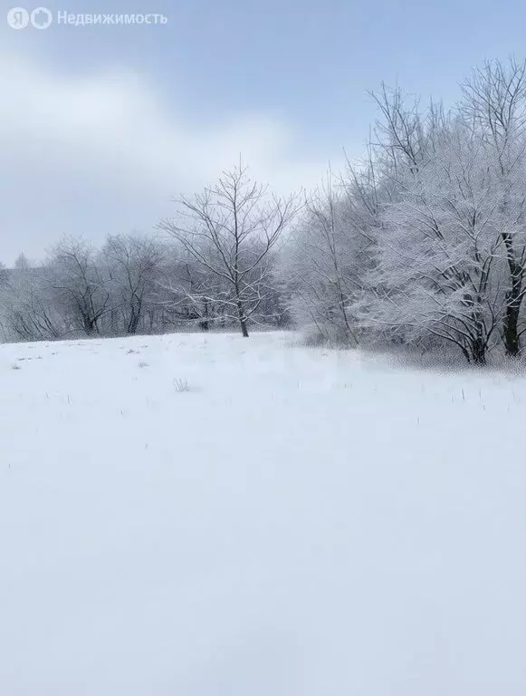 Участок в Ярославская область, Рыбинский муниципальный округ, деревня ... - Фото 0