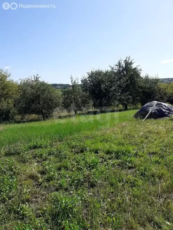 Участок в Ивнянский район, село Курасовка (33 м) - Фото 0