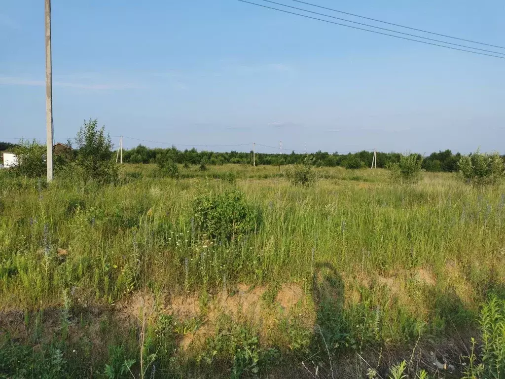 Участок в Калужская область, Тарусский муниципальный округ, Лопатино ... - Фото 2