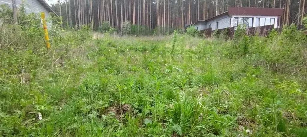 Участок 12 сот. (ИЖС) - Фото 1