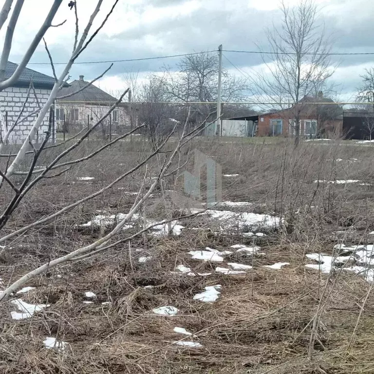 Участок в Краснодарский край, Тимашевский район, Медведовское с/пос, ... - Фото 1