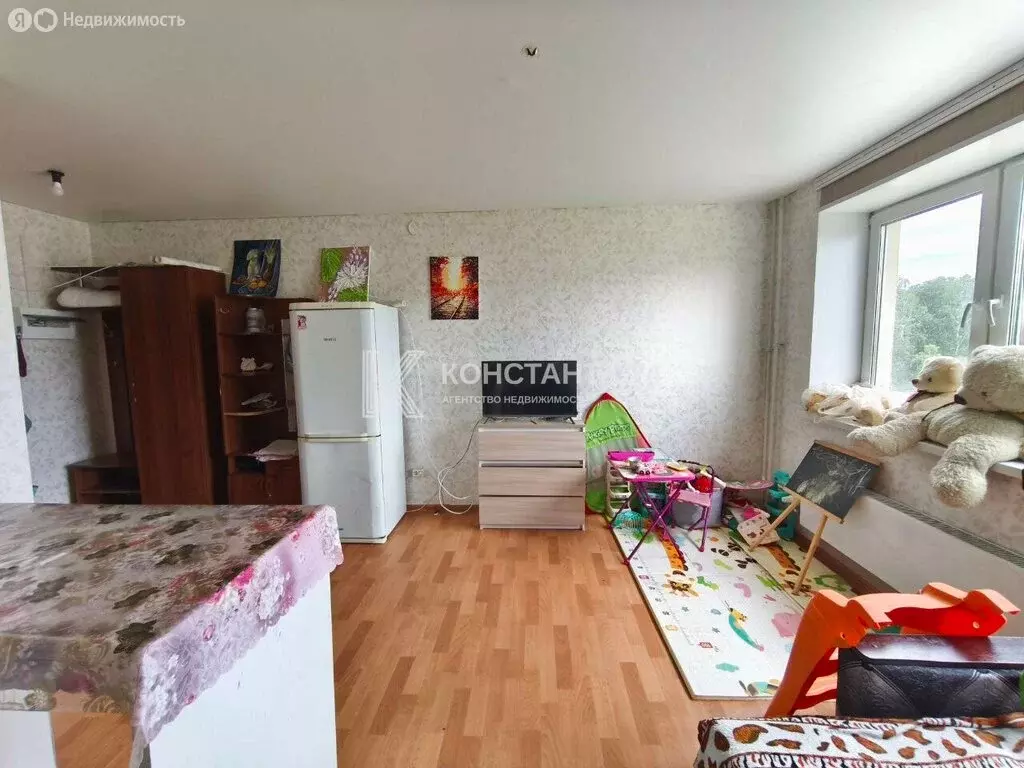 Квартира-студия: село Миасское, улица 40 лет Победы, 12 (24.4 м) - Фото 0