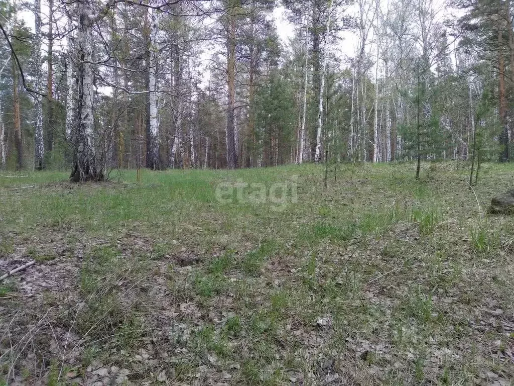 Участок в Свердловская область, Екатеринбург Улесье кп, 3/225 (8.0 ... - Фото 1