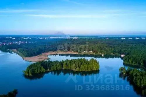 Участок в Тюменская область, Тюменский муниципальный округ, д. Большие ... - Фото 1