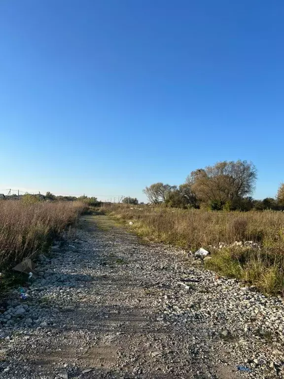 Участок в Калининградская область, Гурьевск ул. Петровская, 12 (10.0 ... - Фото 1
