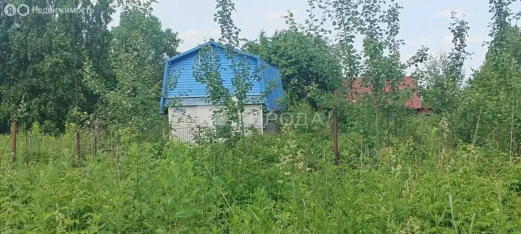 Дом в Мыски, Отрадная улица, 14 (19.4 м) - Фото 2