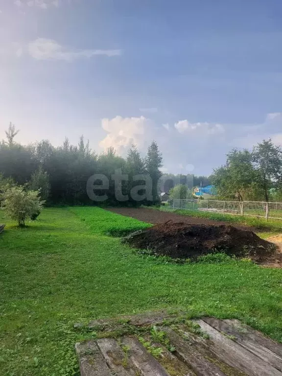 Участок в Вологодская область, Шекснинский муниципальный округ, ... - Фото 1