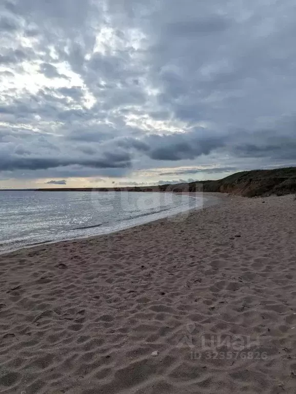 Участок в Крым, Черноморский район, Окуневское с/пос, с. Знаменское ... - Фото 1