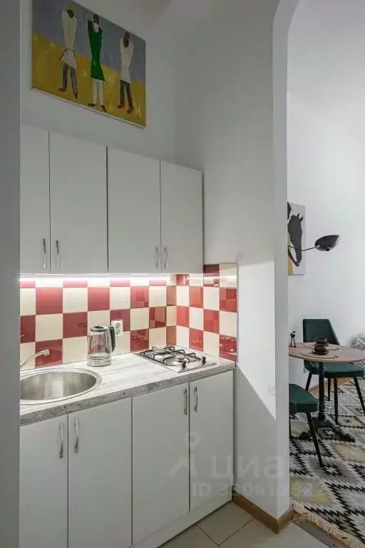 1-к кв. Санкт-Петербург Большая Конюшенная ул., 2 (25.0 м) - Фото 2