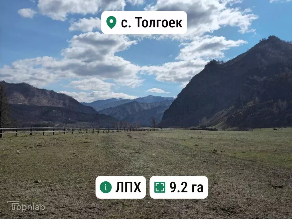 Участок в Алтай, Чемальский район, с. Толгоек  (9.2 сот.) - Фото 1