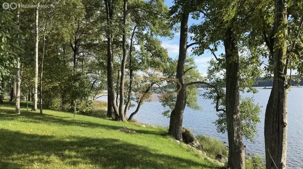 Участок в Выборгский район, Приморское городское поселение, посёлок ... - Фото 2