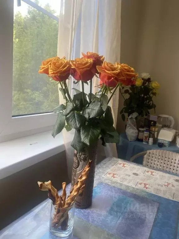 2-к кв. Краснодарский край, Туапсинский муниципальный округ, Джубга ... - Фото 2