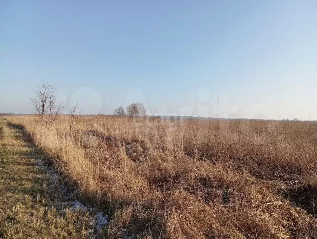 Участок 6 сот. (ИЖС) - Фото 1