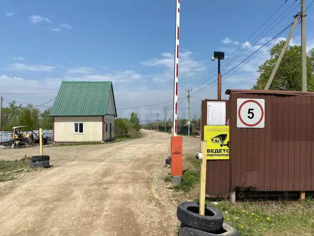 Участок в Приморский край, Надеждинский район, Дубки-1 СНТ ул. ... - Фото 0